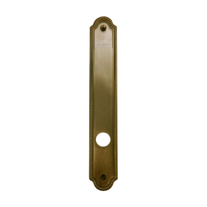 Hinged Patio Door Escutcheon Plate 2573752