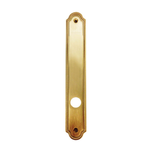 Hinged Patio Door Escutcheon Plate 2573756