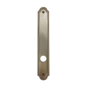 Hinged Patio Door Escutcheon Plate 2573764