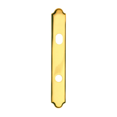 Brigiht Brass Hinged Patio Door Escutcheon Plate 2573773 