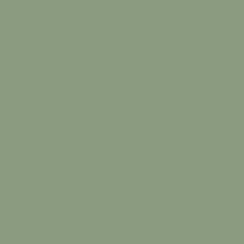 Olive Color Swatch