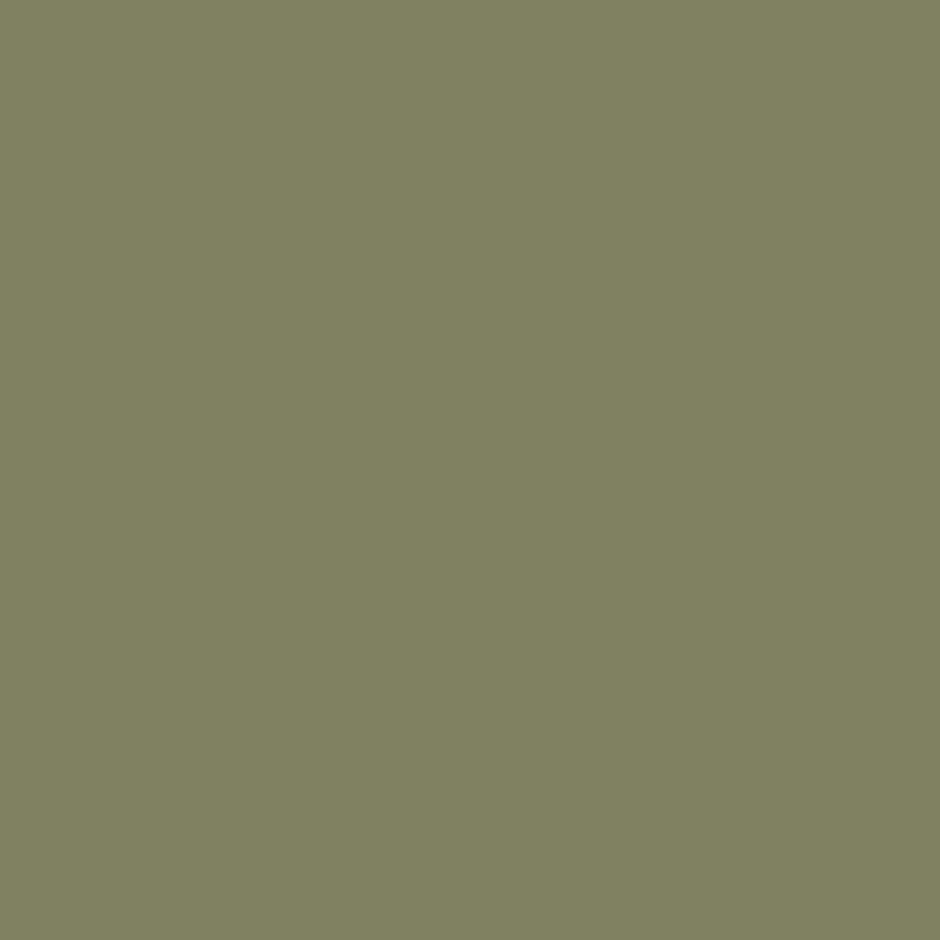 Sage Color Swatch